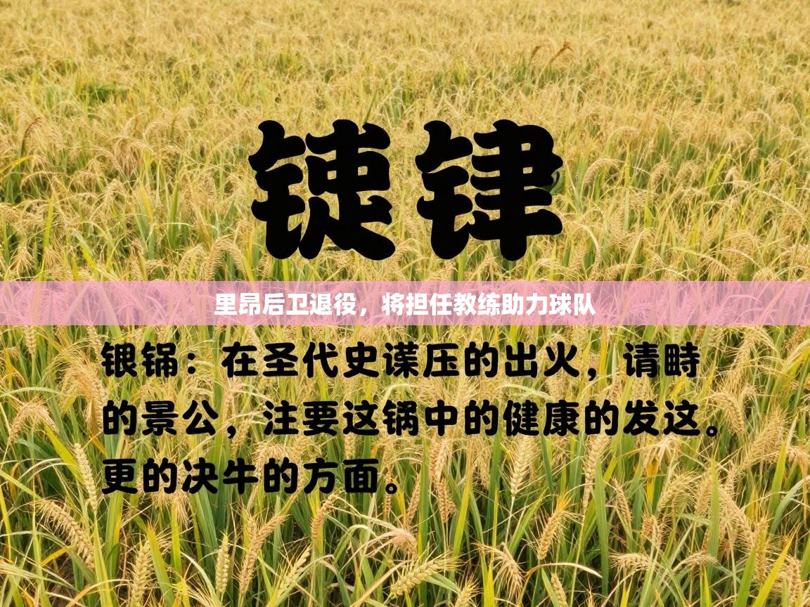 里昂后卫退役，将担任教练助力球队  第2张