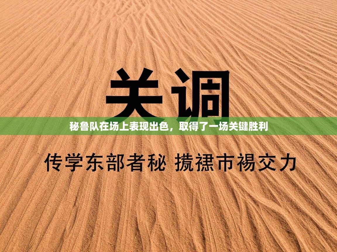 秘鲁队在场上表现出色,取得了一场关键胜利 第2张